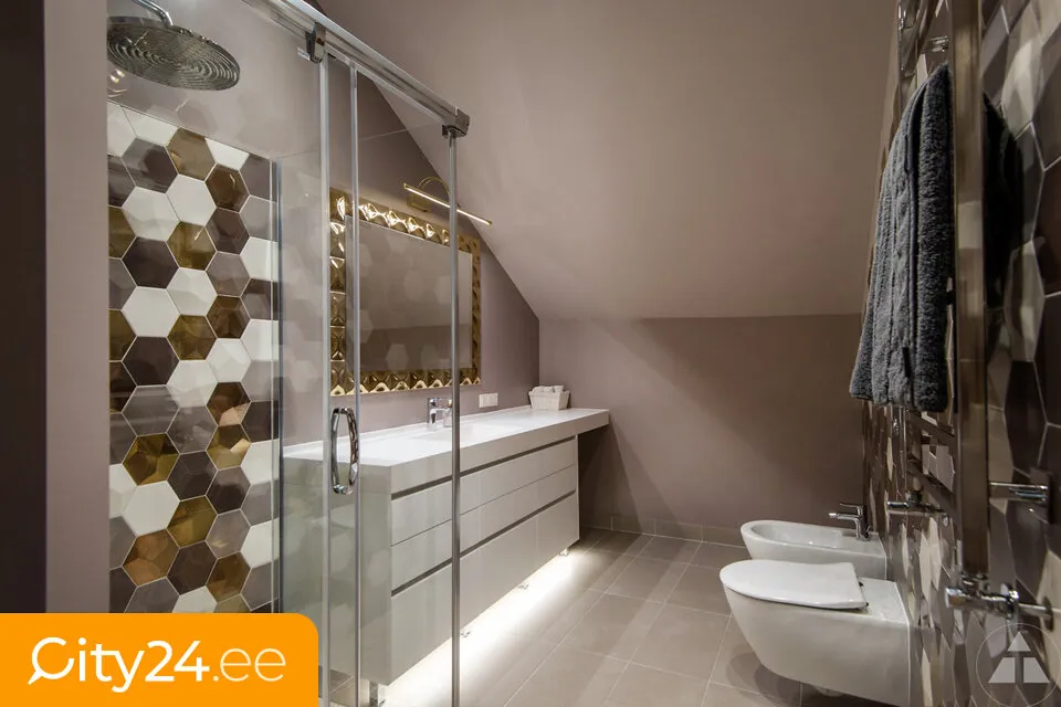 Vannitoad - Duplex Penthouse with Terrace in Jugla