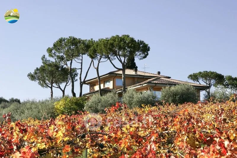 Extérieur - Panoramic Villa with Private Park in Notaresco