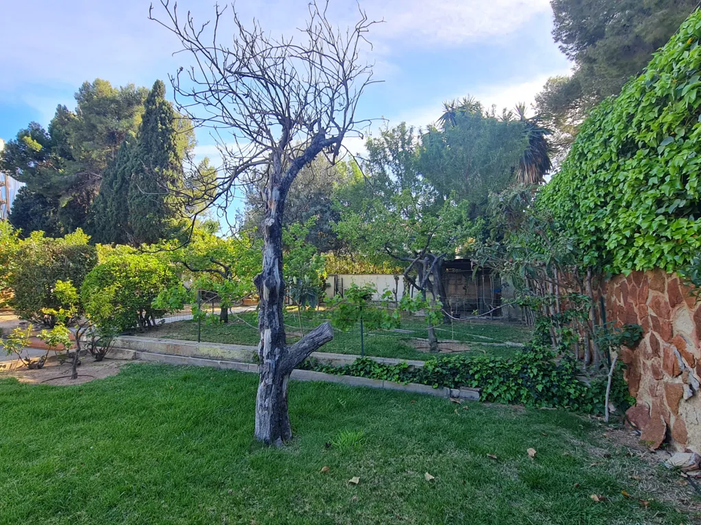 Jardin - Señorial Chalet for Renovation with Pool in La Cañada