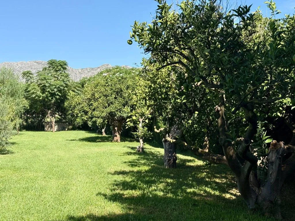 Jardin - Luxury Villa with Two Residences in Ondara
