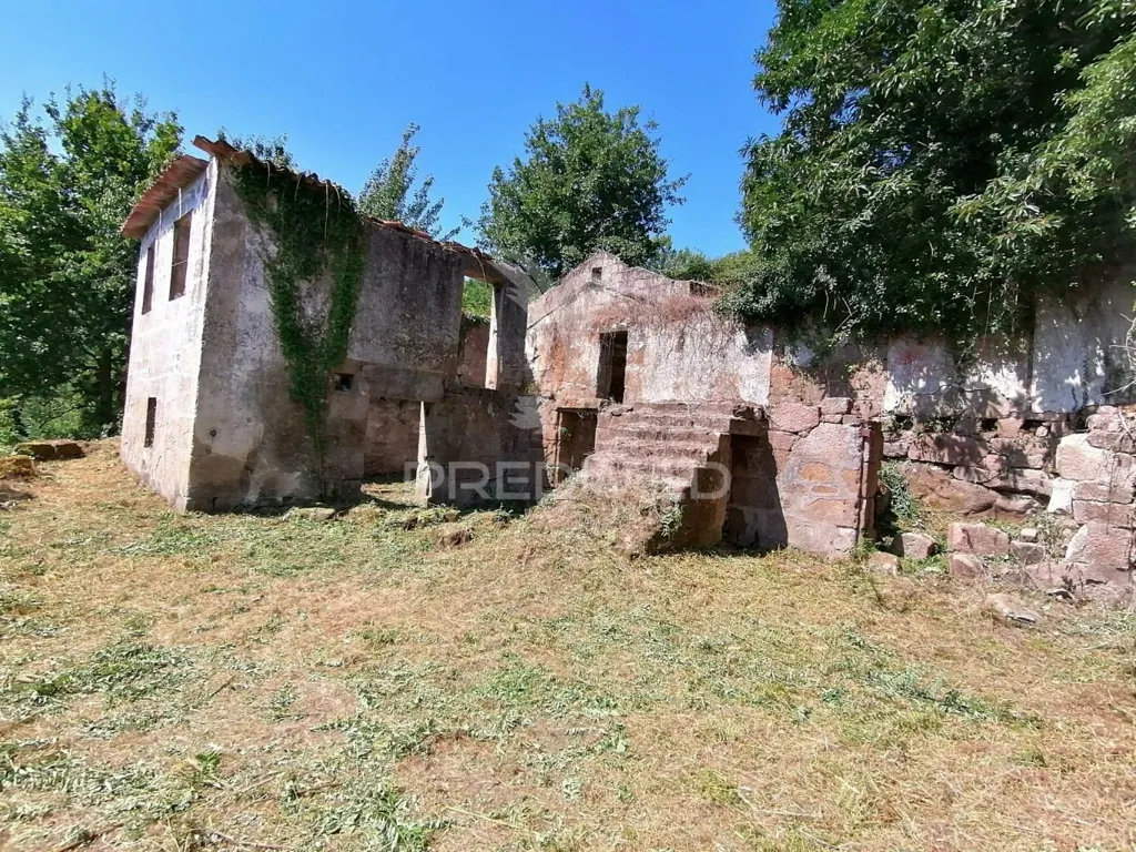 Extérieur - Rural Quinta with Olive Trees in Pala