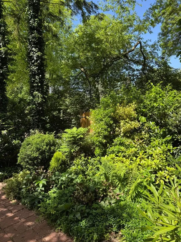 Garden - Apartment with Garden in Amsterdam