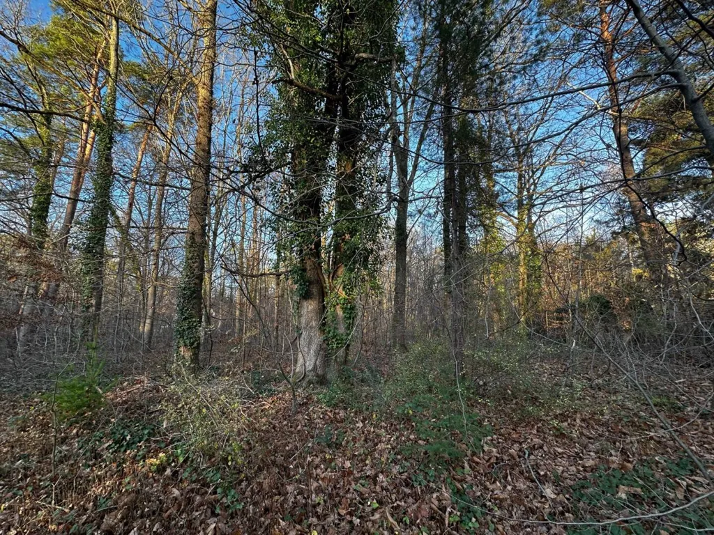 Jardin - Terrain en Forêt à Bâtir à La Genevraye