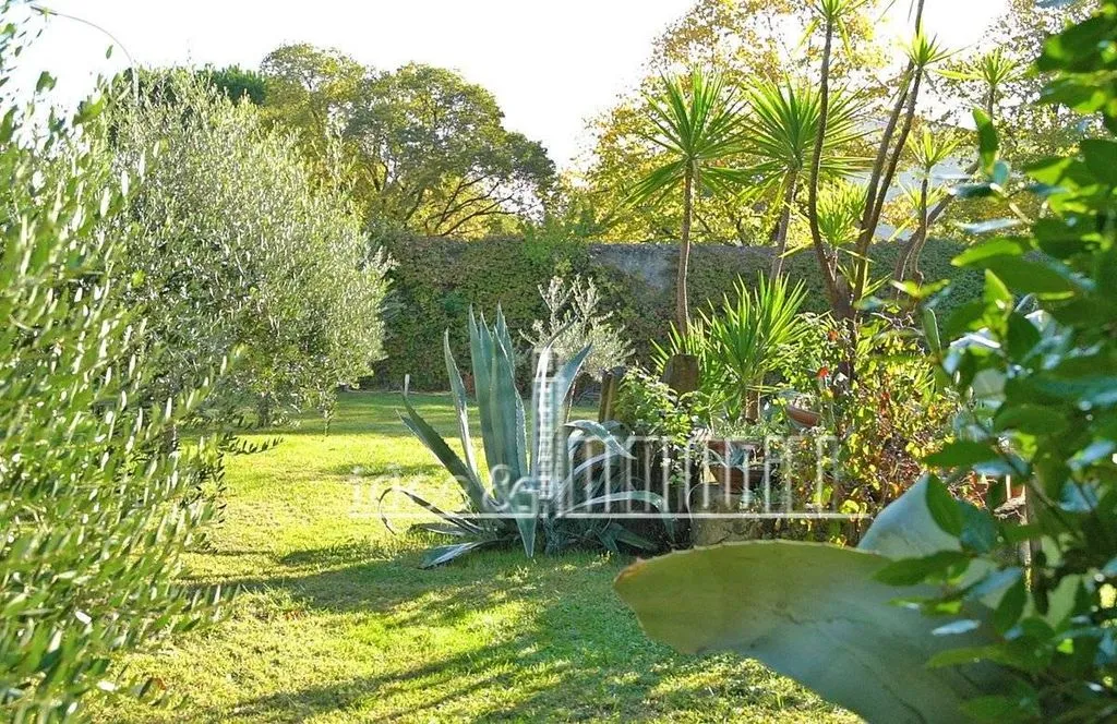 Jardin - Luxury Villa with Garden in Florence