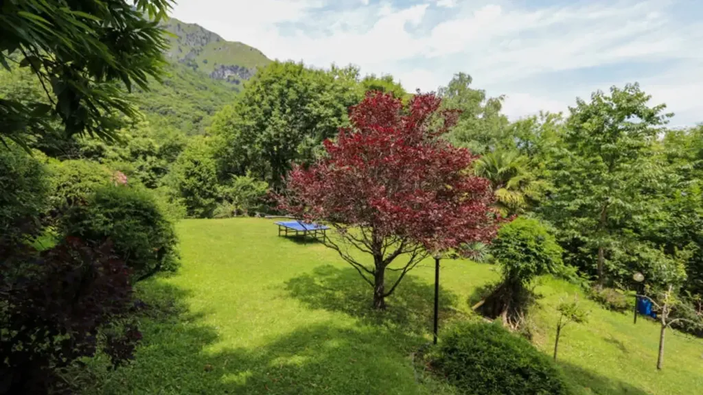 garden