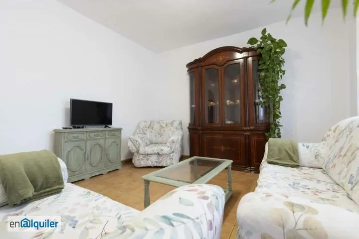 Séjour - Furnished Apartment with Teide Views in Tacoronte