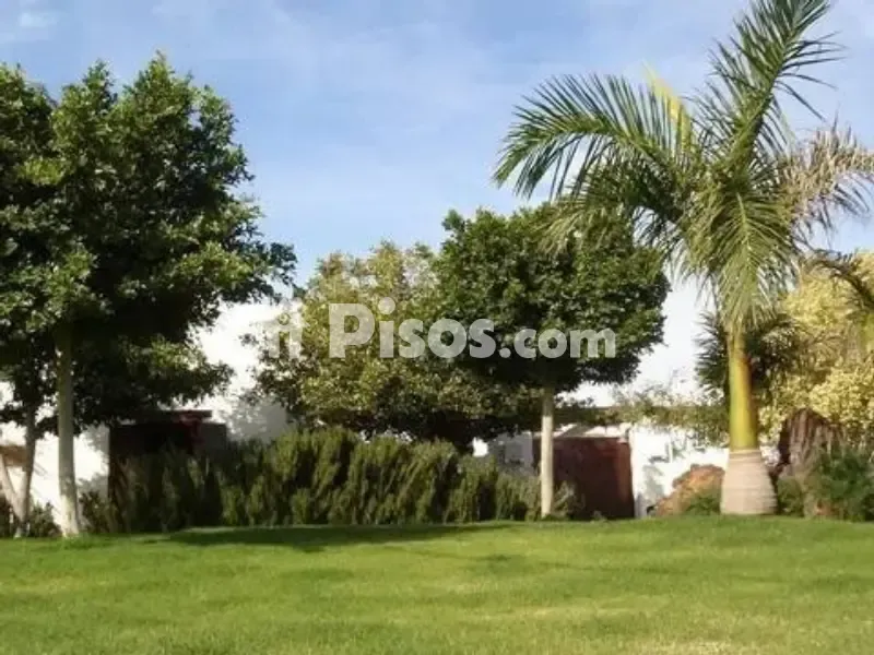 Jardin - Chalet with Traditional Canarian Style in Lanzarote