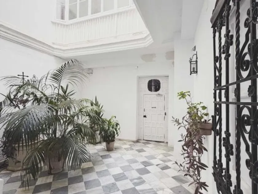 Jardin - Historic Flat with Balcony in Plaza España