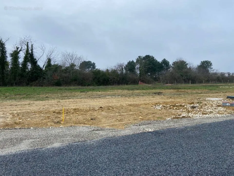 Jardin - Terrain avec Vue sur Espace Vert à Saint-Selve