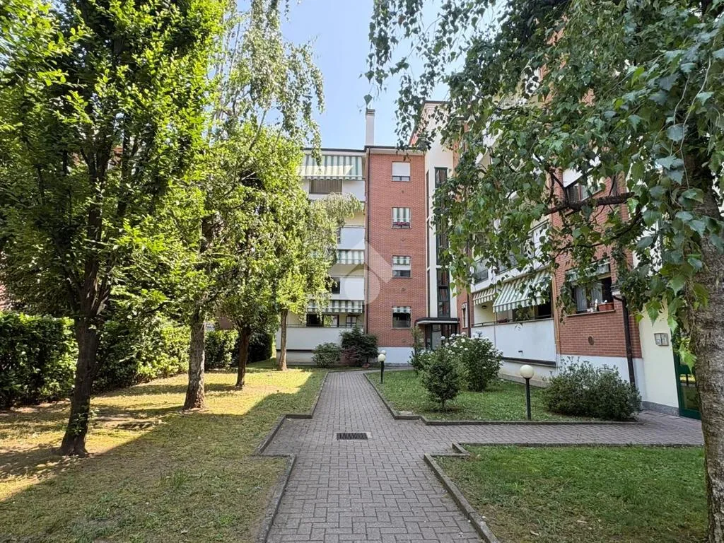 Giardino - Appartamento con balcone in zona tranquilla a Gallarate