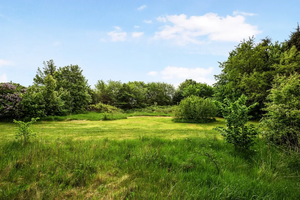 Jardin - Year-Round Plot with 5G Coverage in Gredstedbro