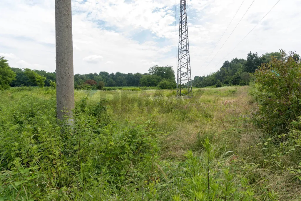 Aed - Agricultural Land with Forest in Calusco d'Adda
