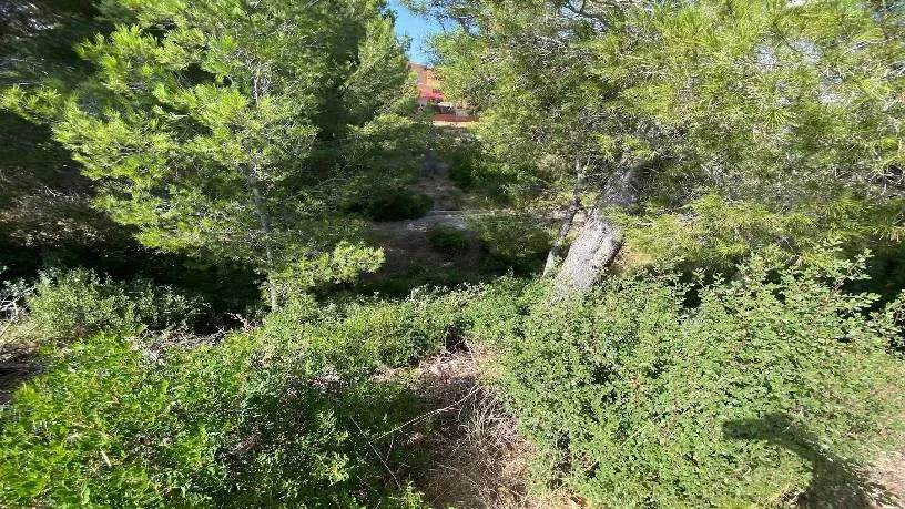 Jardin - Plot with Development Potential in Mont-Roig del Camp