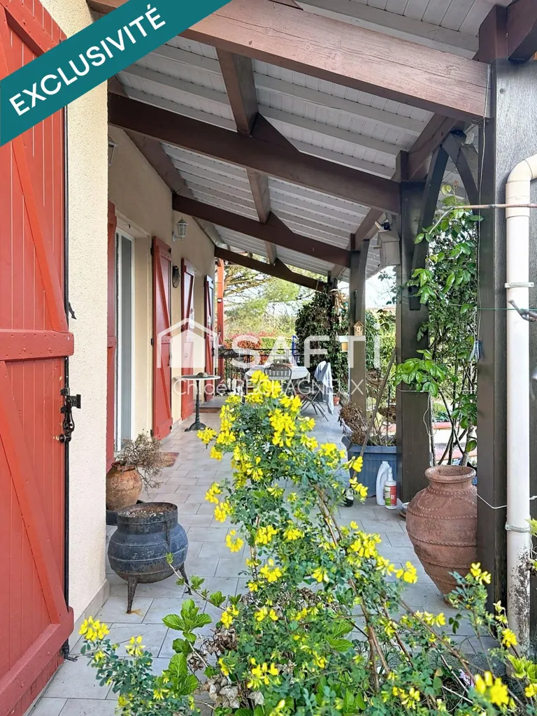 terrace_patio