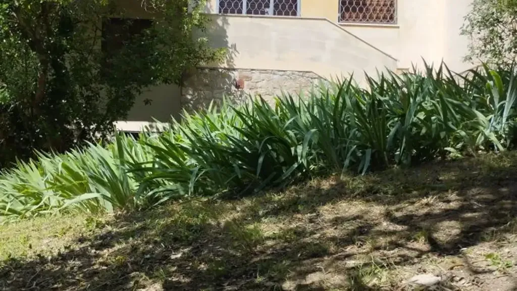 Giardino - Panoramic Apartment with Garden in Settignano, Florence