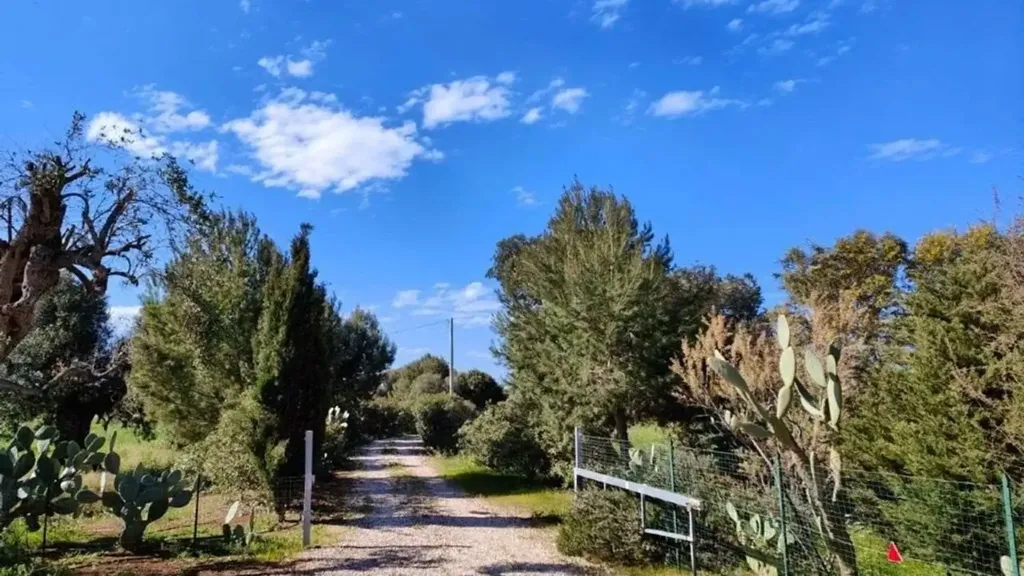 Välivaade - Luxury Villa with Pool near Ostuni