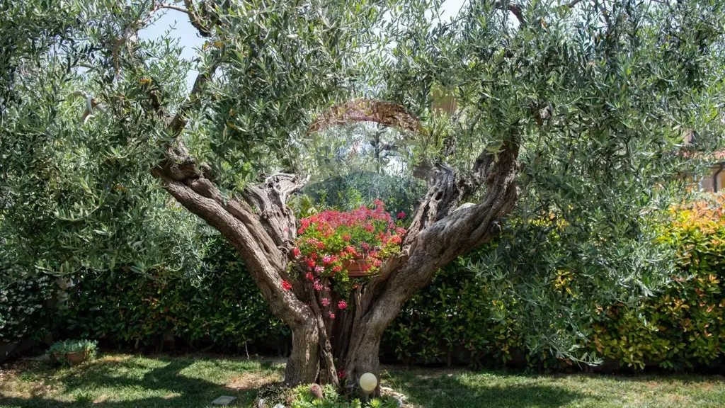 Garden - Independent House with Private Garden in Ostra