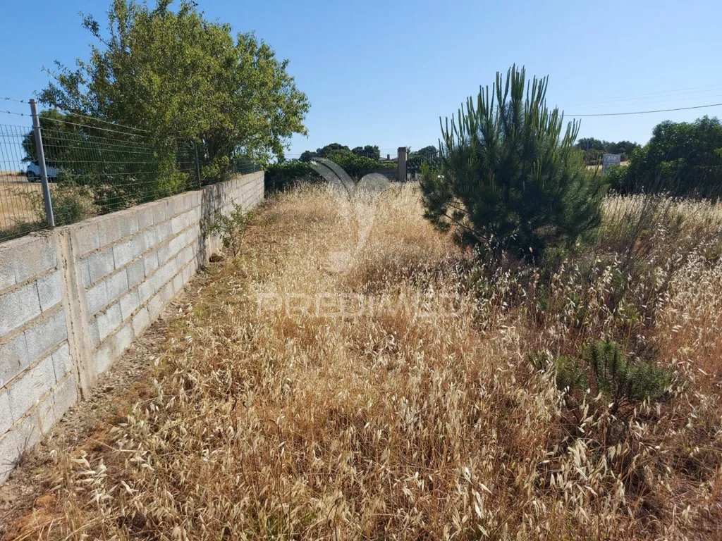 Aed - Delimited Land with Fruit Trees near Lagos
