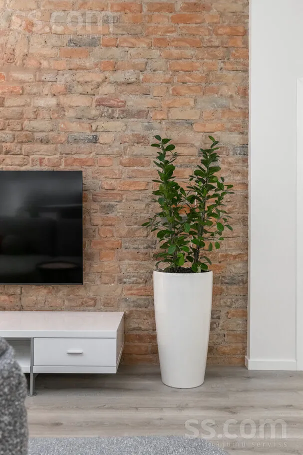 Soggiorno - Two-Bedroom Flat in Riga City Centre