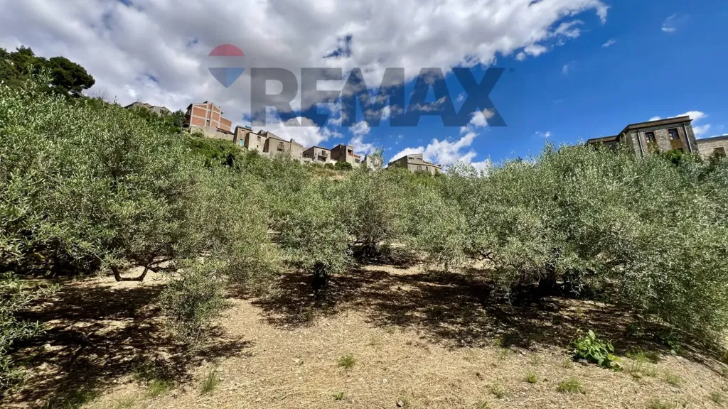 Aed - Villa with Olive Grove in Alimena
