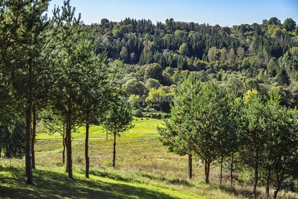 Jardin - Duplex Apartment with River View in Ariogala