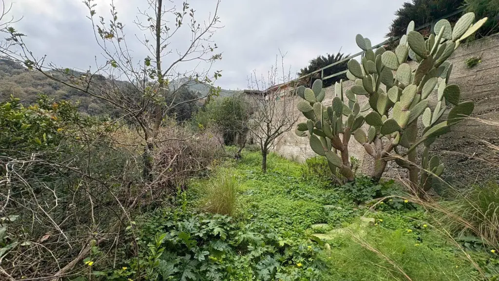 Aed - Independent House with Garden in Messina
