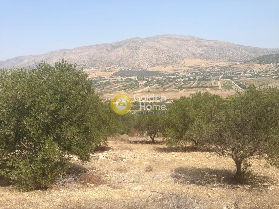 Jardin - Plot with Unrestricted View in Kalivia - Lagonisai