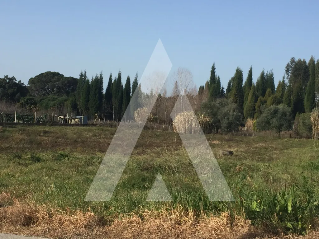 Aed - Buildable Land with Field View in Penedos
