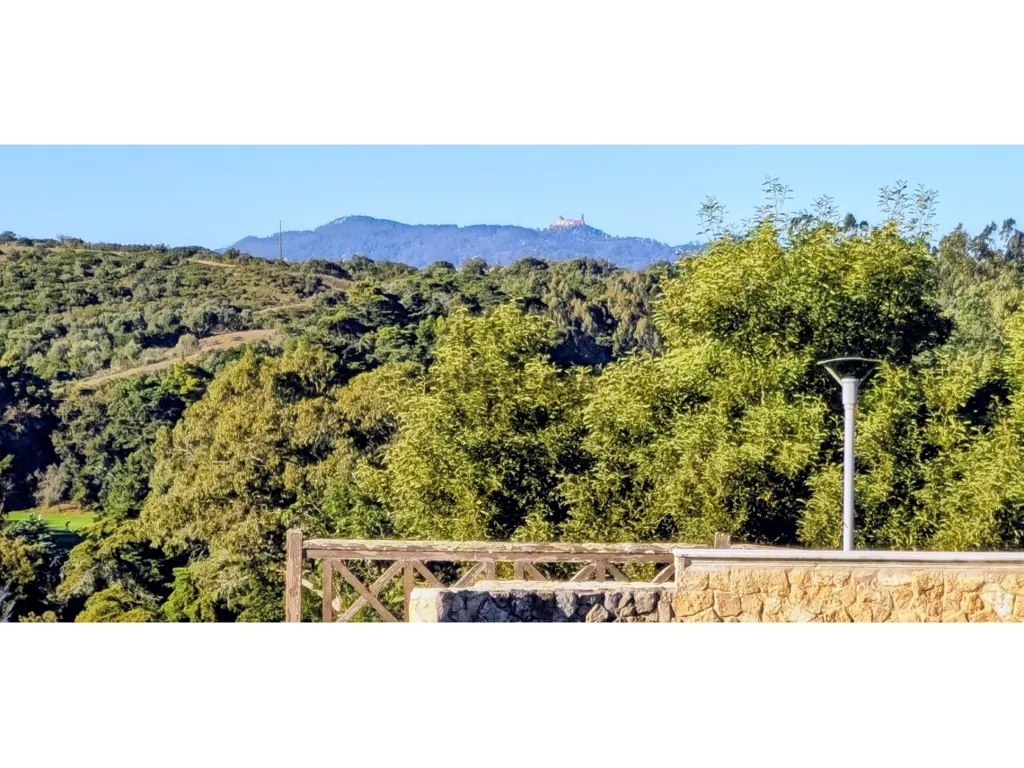 Jardin - Triplex T6 Home with Pena Palace View in Belas