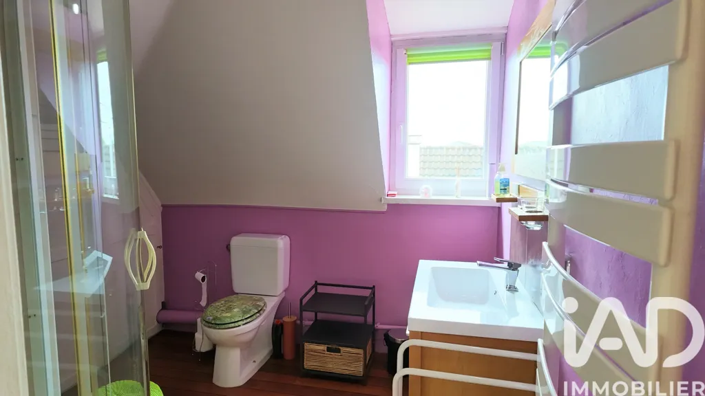 Bathrooms - Charming House with Pool in Pfastatt