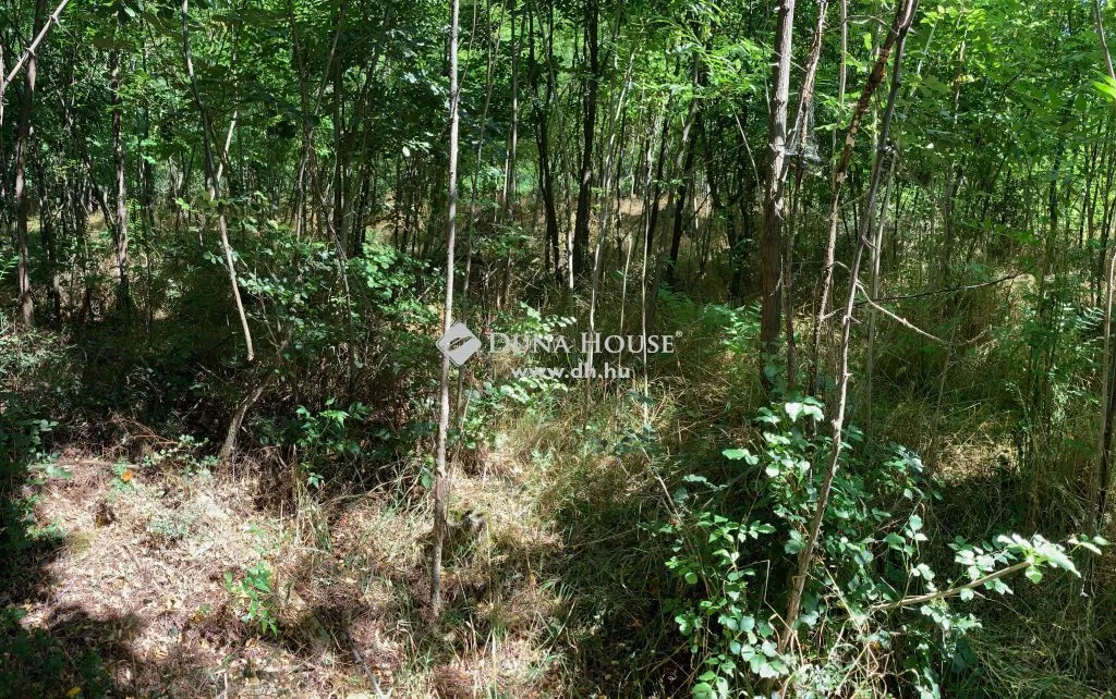 Giardino - Divisible Holiday Plot with Views in Pákozd