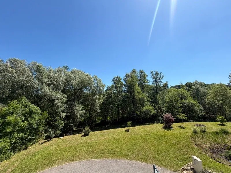 Jardin - Duplex de Prestige avec Terrasse à Hagenthal-le-Bas