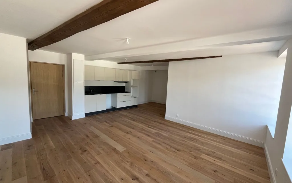 Living Room - Renovated Apartment with Balcony in Vienne