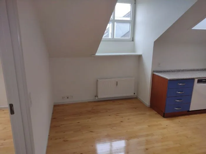 Toad - Two-Bedroom Flat in Odense C