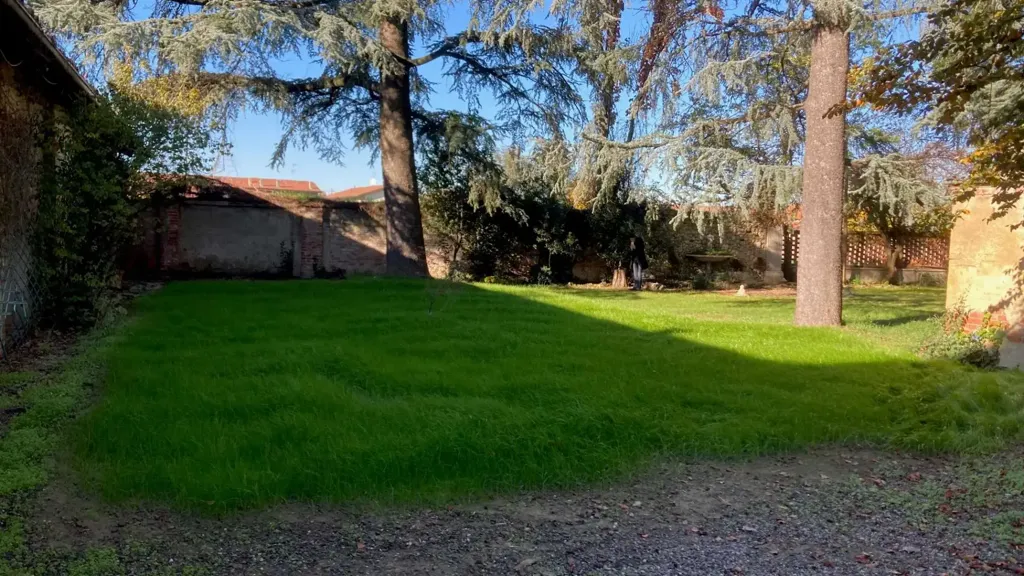 garden