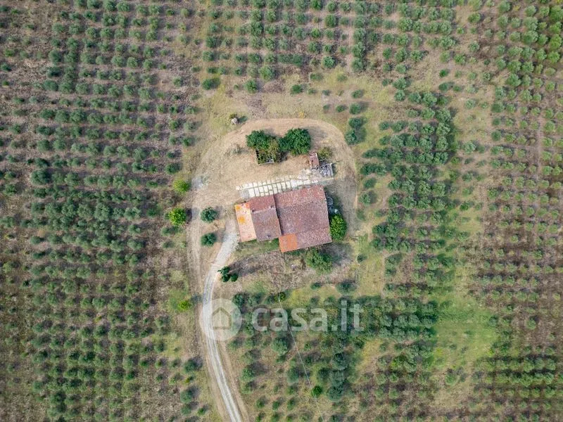 Õhuvaade - Rustic Casale with Olive Grove in Occimiano