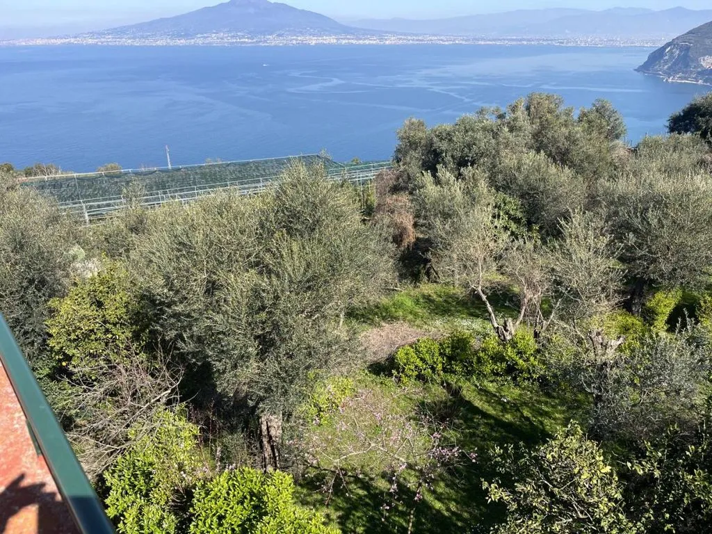 Jardin - Historic Villa with Sea View in Vico Equense