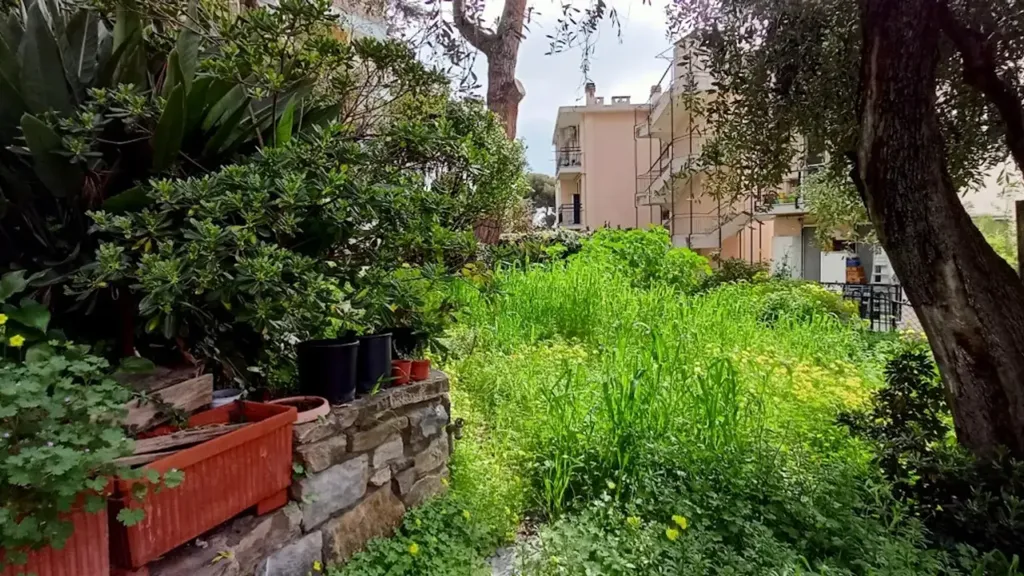 garden