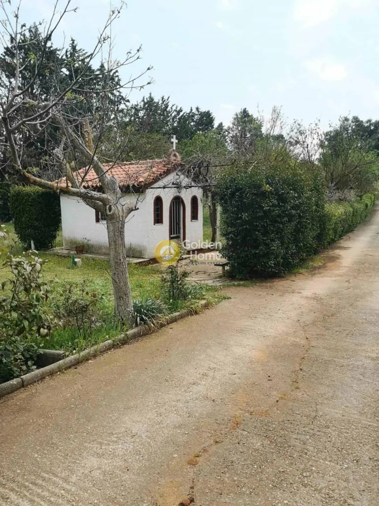 10-room house in GR