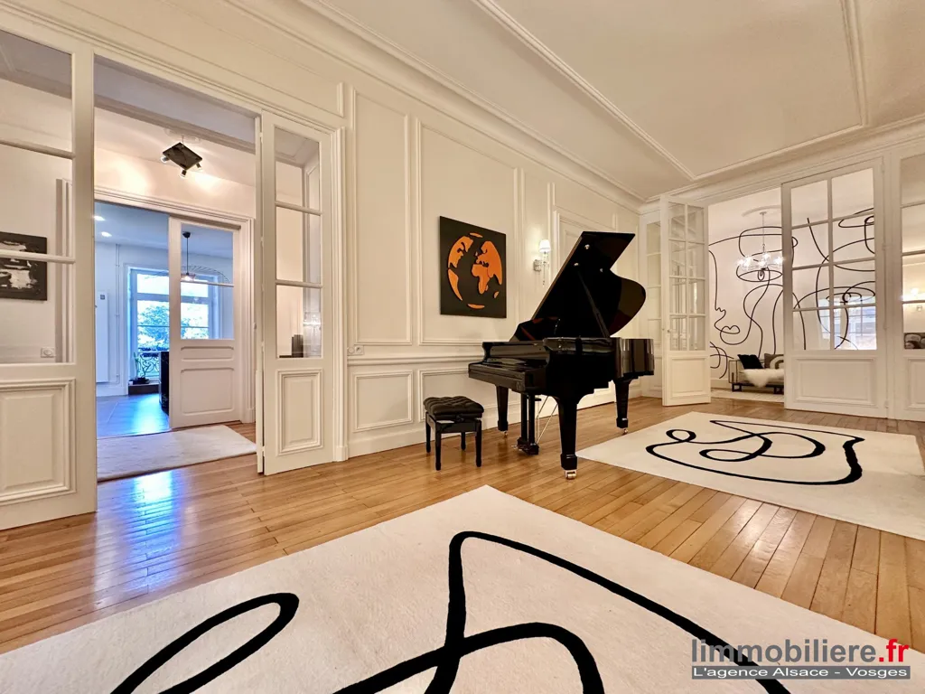 Soggiorno - Luxury Flat with Park Views in Saint-Dié-des-Vosges