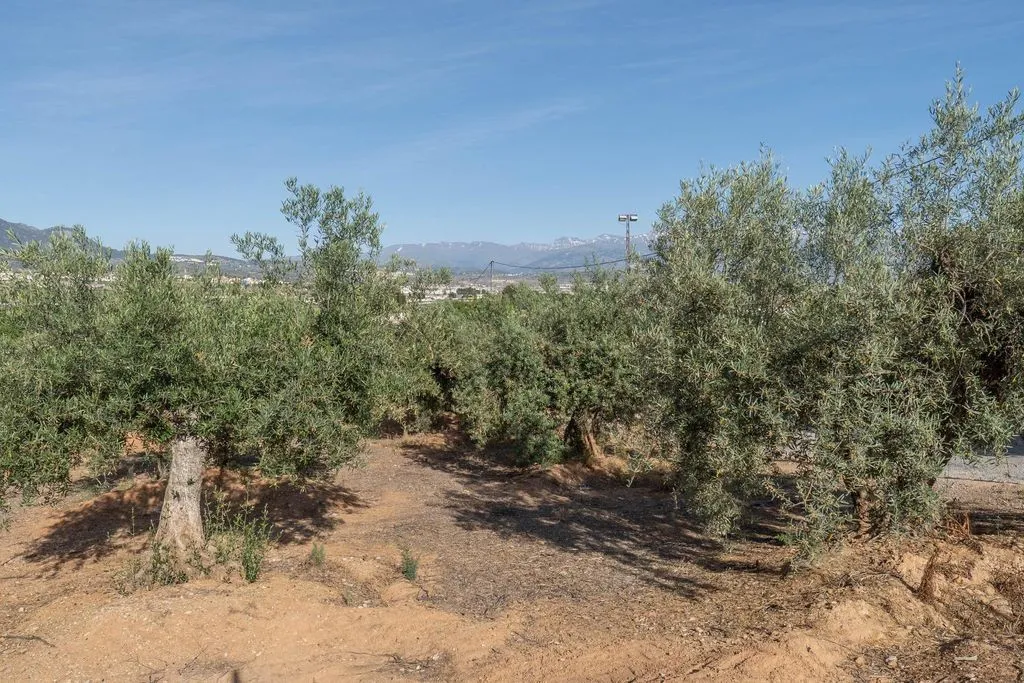 Aed - Buildable Land with Granada Views in Albolote