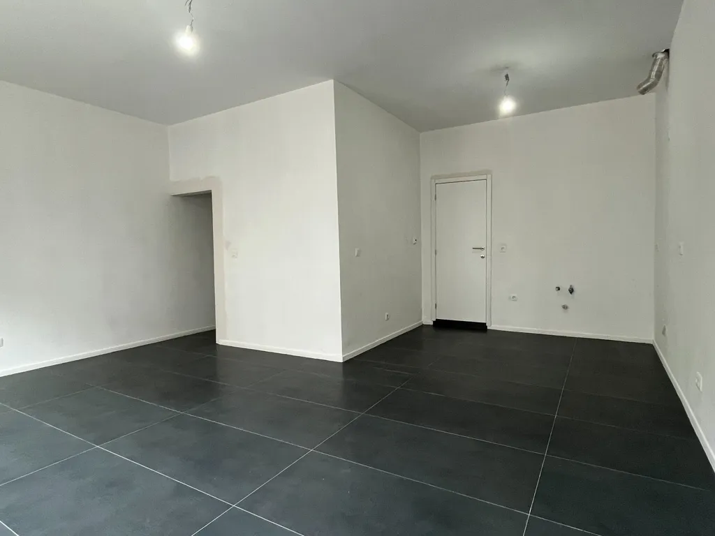 Toad - Fully Renovated Investment Property in Nice