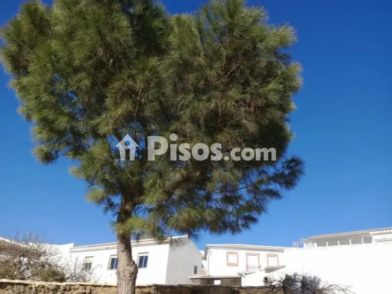 Garden - Rustic House with Garden in La Atalaya