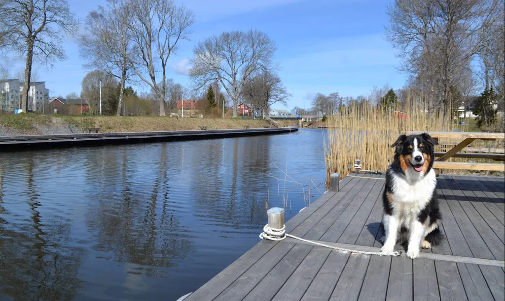 Jardin - Buildable Plot with Canal View in Älmsta