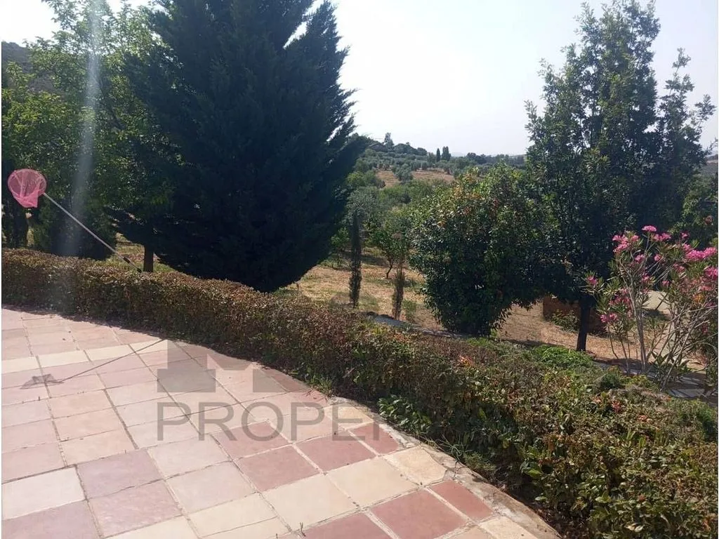 Aed - Rural Cortijo with Pool near Alange