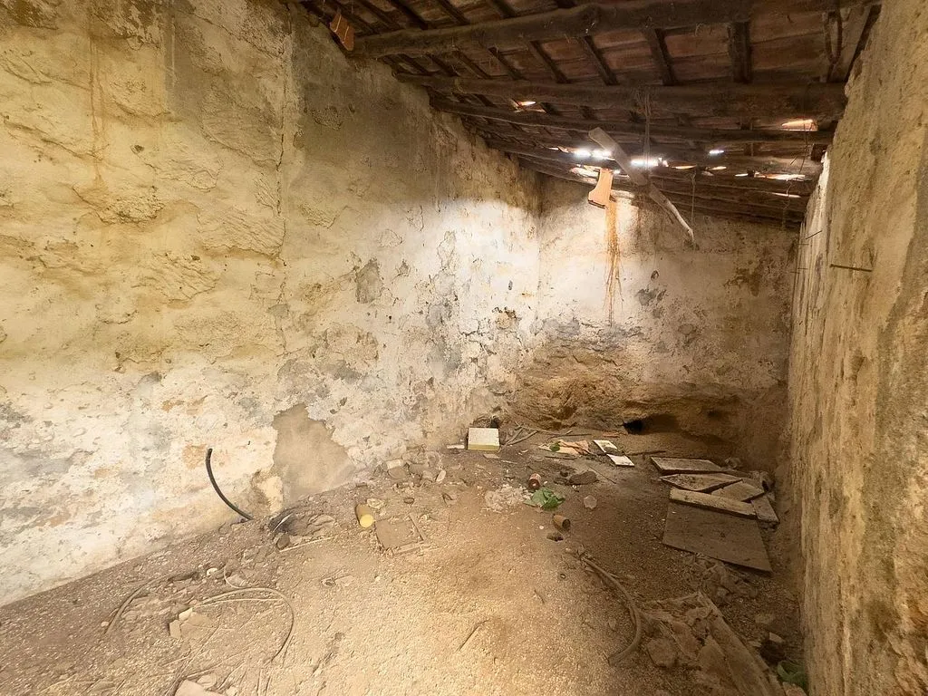 Toad - Rustic Property with Restoration Potential in Arafo
