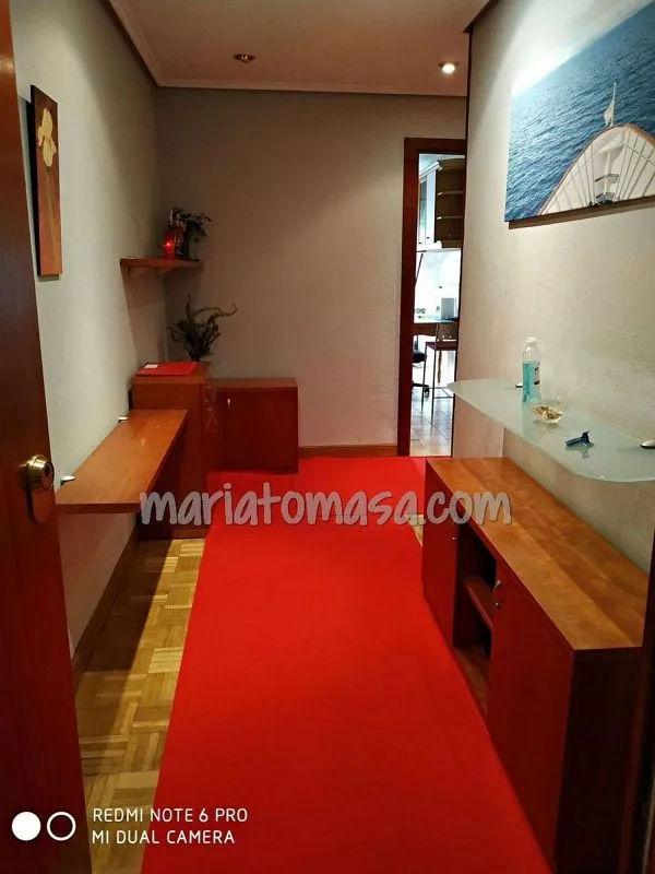 Ingresso - Spacious Flat with Terrace in Judizmendi