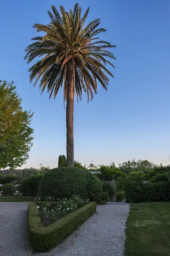Aed - Villa with Pool in Saint-Tropez