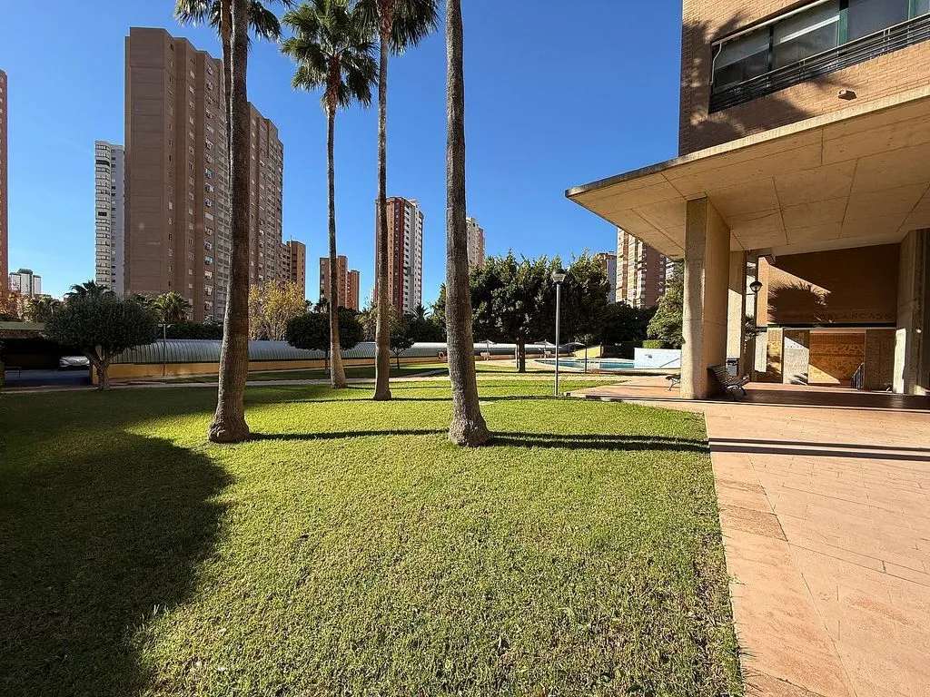 Garden - Apartment with Pool and Terrace in Benidorm