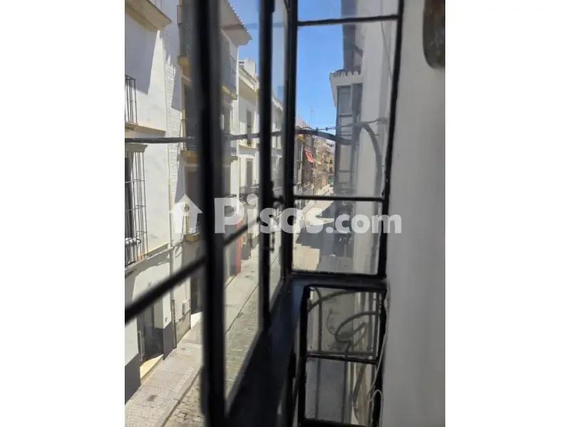 Balcone - Palace-Style Flat with Rooftop in Seville